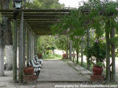 Pergola